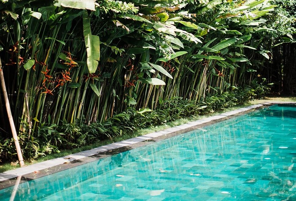 Plantas y Pileta de piedra volcánica Bali verde