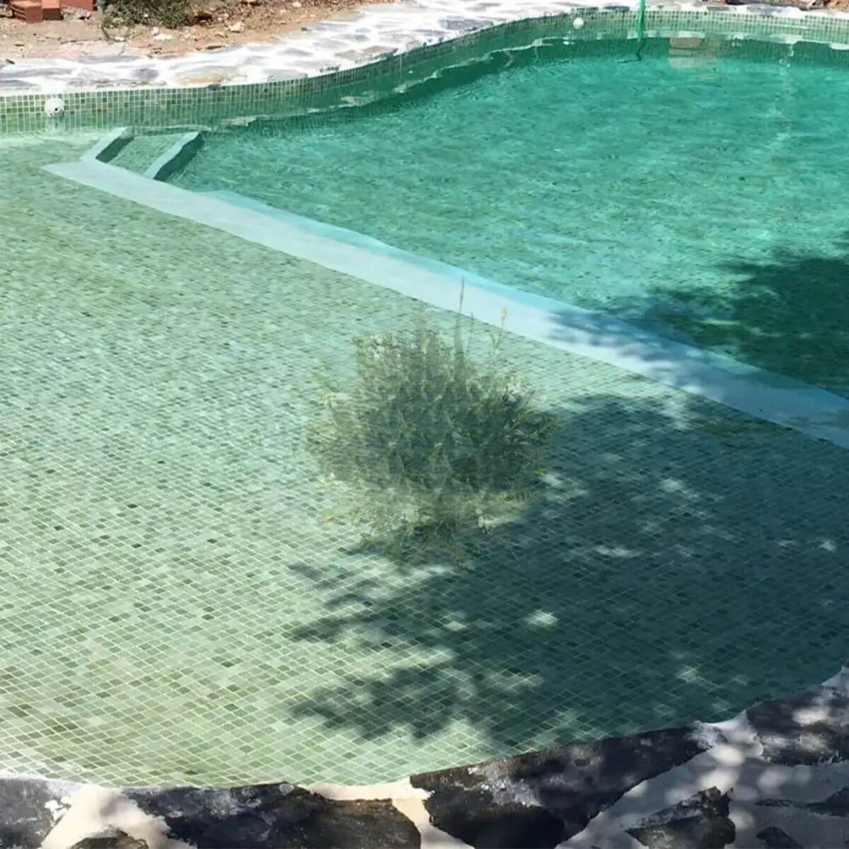 💧 Venecitas Exclusive: elegí revestir tu piscina con diseño, color y calidad. | Vedek Revestimientos