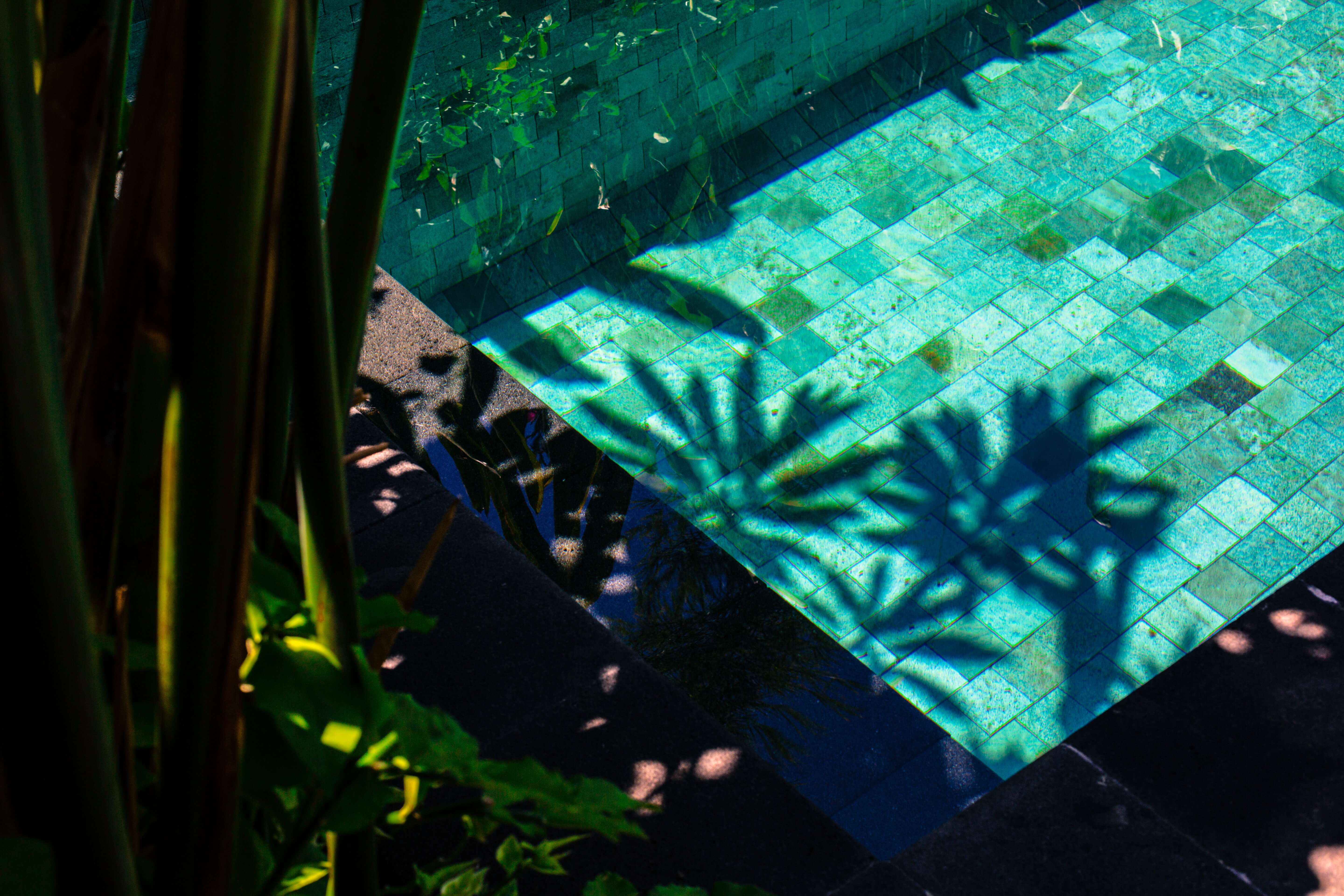 El efecto Bali: transformá tu piscina en un oasis privado. | Vedek Revestimientos
