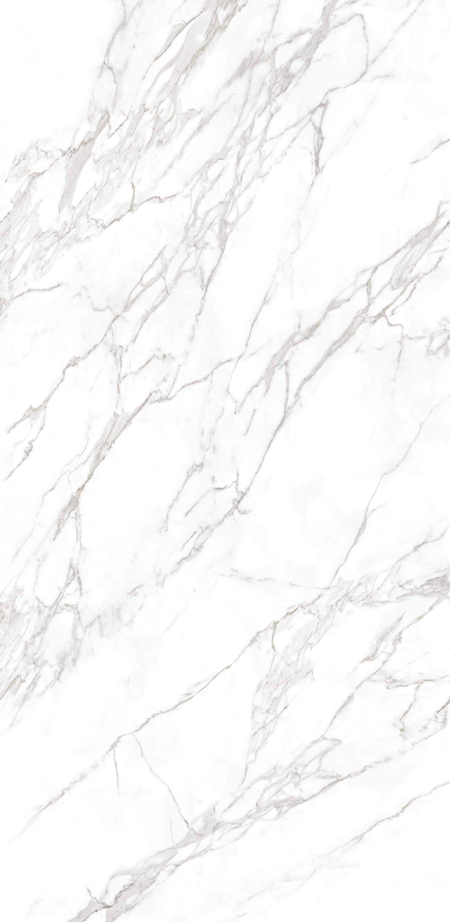 Modulado Calacatta C01 (P) - Neolith  | Vedek Revestimientos