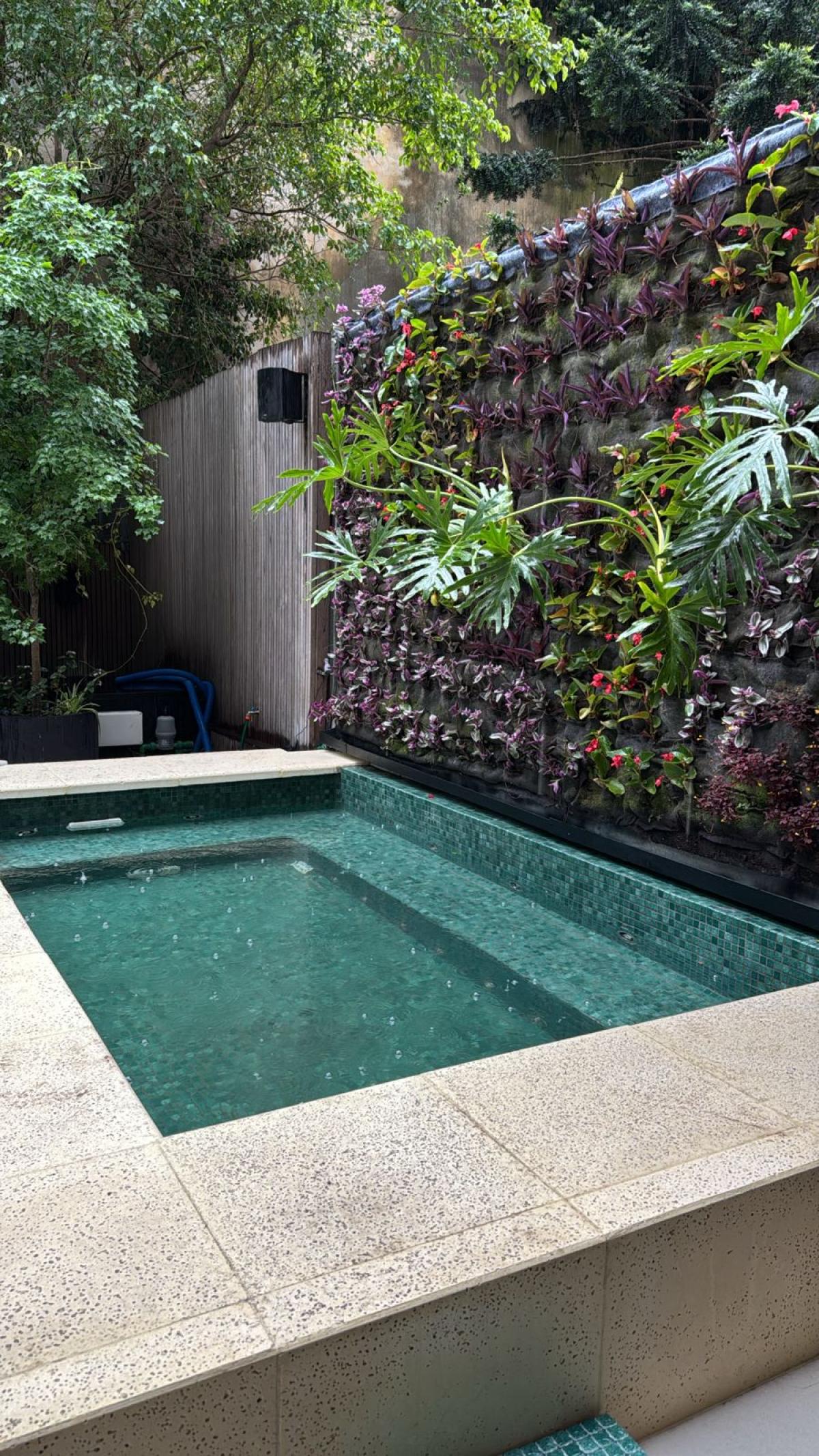 Venecitas Exclusive Verde Oscuro - DK 87  | Vedek Revestimientos