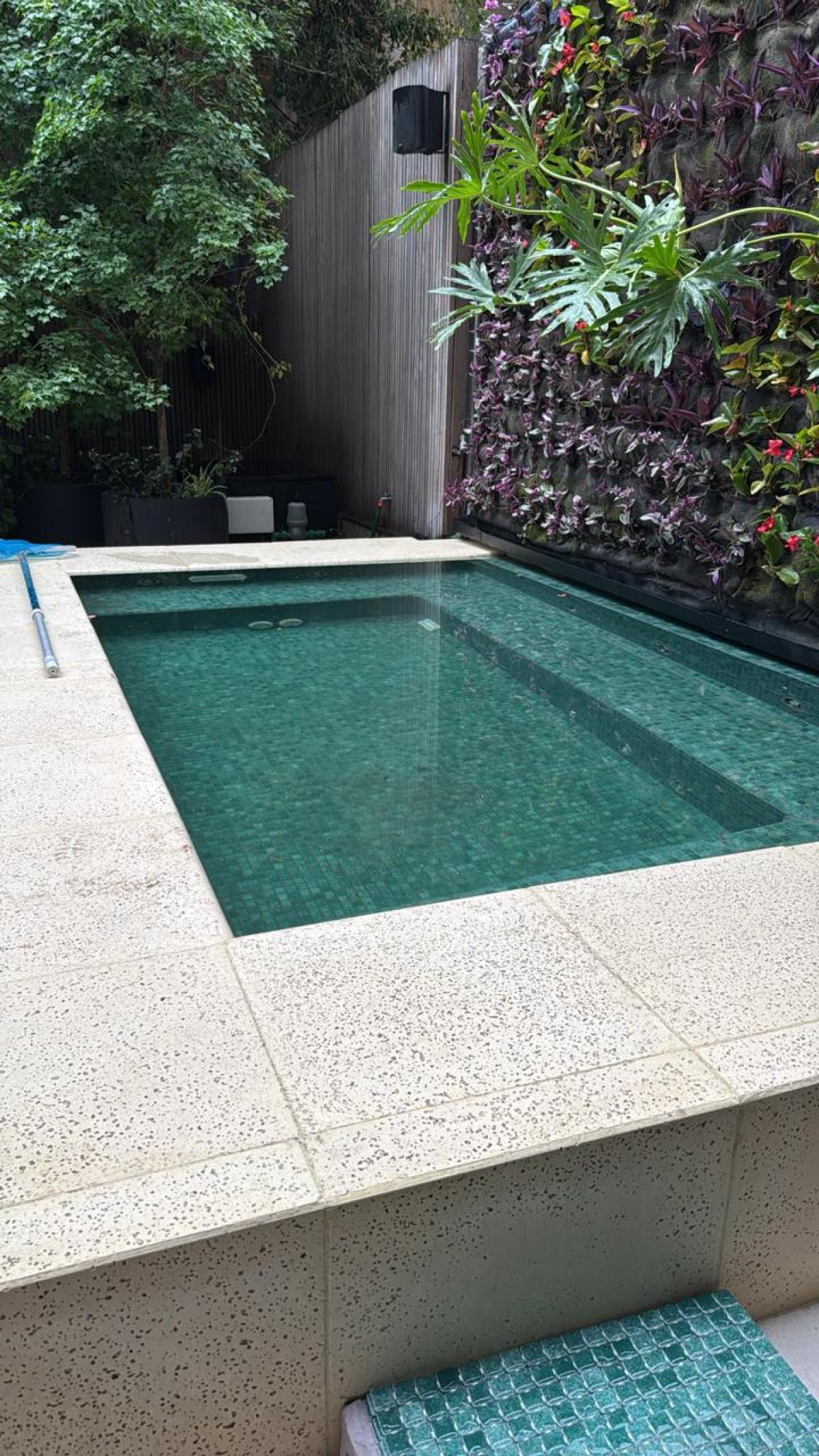 Venecitas Exclusive Verde Oscuro - DK 87 Cord | Vedek Revestimientos